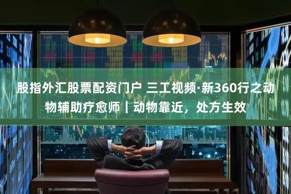 股指外汇股票配资门户 三工视频·新360行之动物辅助疗愈师｜动物靠近，处方生效